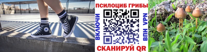 Галлюциногенные грибы Cubensis  ссылка на мегу как зайти  Курильск 